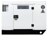 DHY 12000SE-3